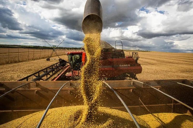 Alckmin celebra melhores dados de produção agroindustrial de abril em dez anos
