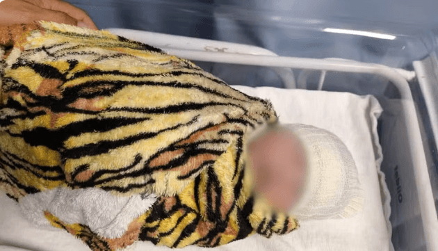 &#8216;Nazaré Tedesco de Minas Gerais&#8217;: bebê sequestrada de hospital por falsa médica é encontrada em Goiás