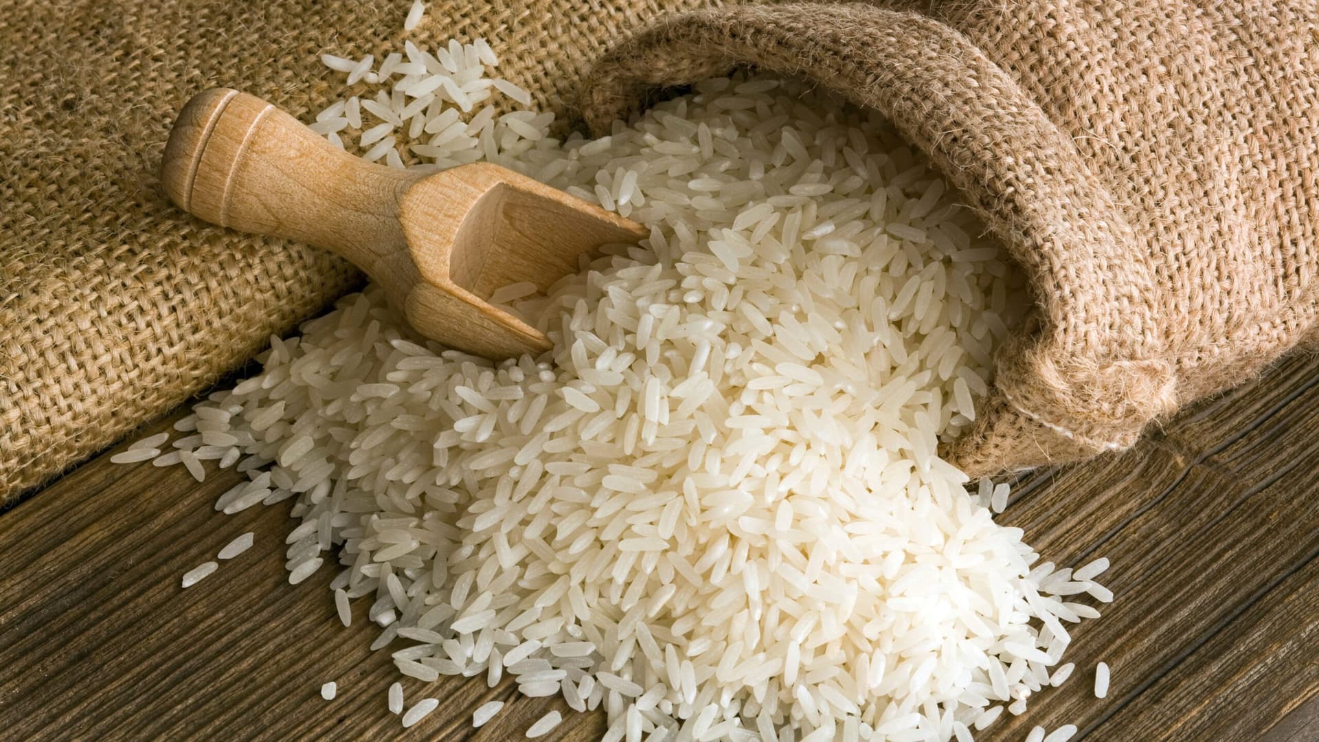 Toxina fúngica é encontrada na farinha e arroz, aponta pesquisa da USP