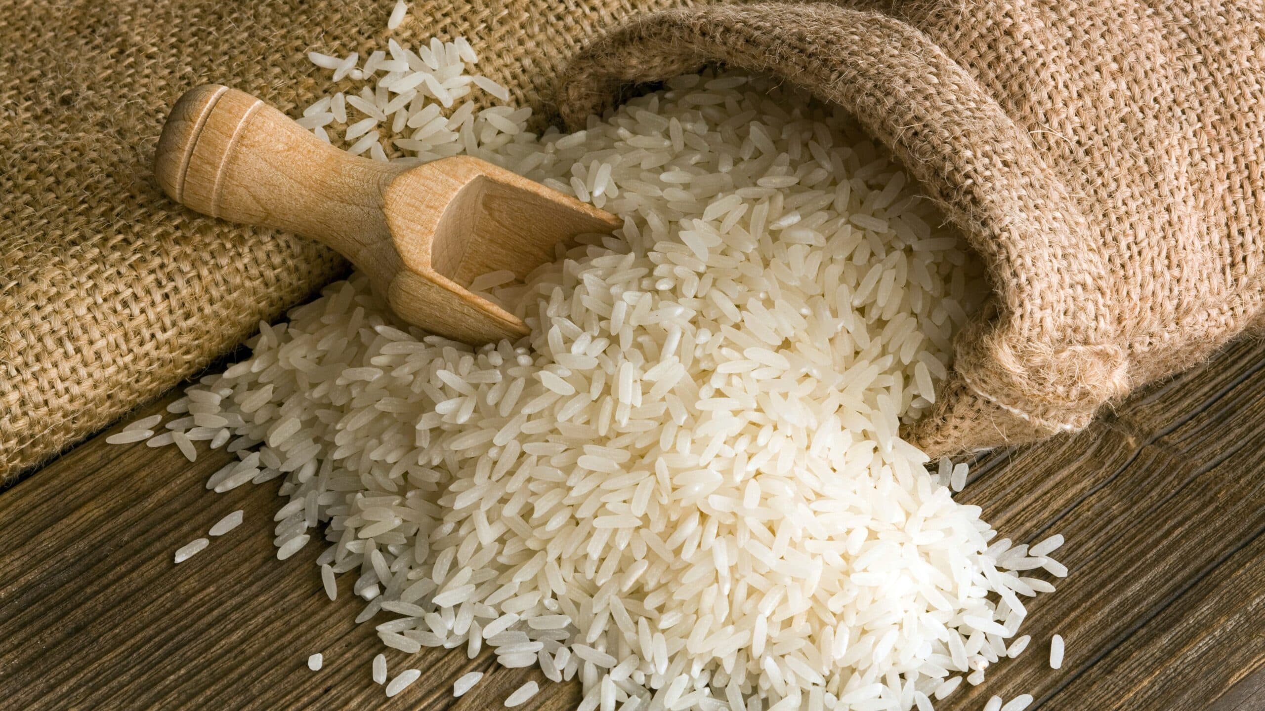Toxina fúngica é encontrada na farinha e arroz, aponta pesquisa da USP