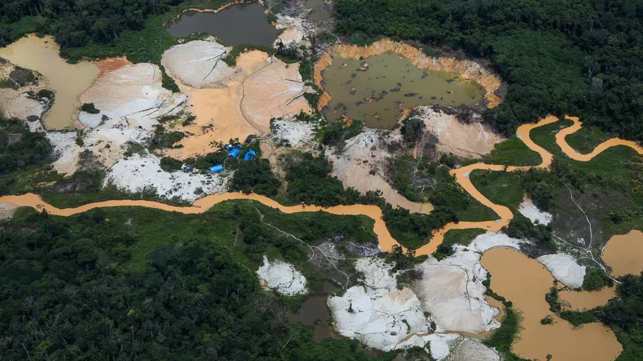 Operações em Terras Yanomami dão prejuízo de R$ 110 milhões ao garimpo ilegal
