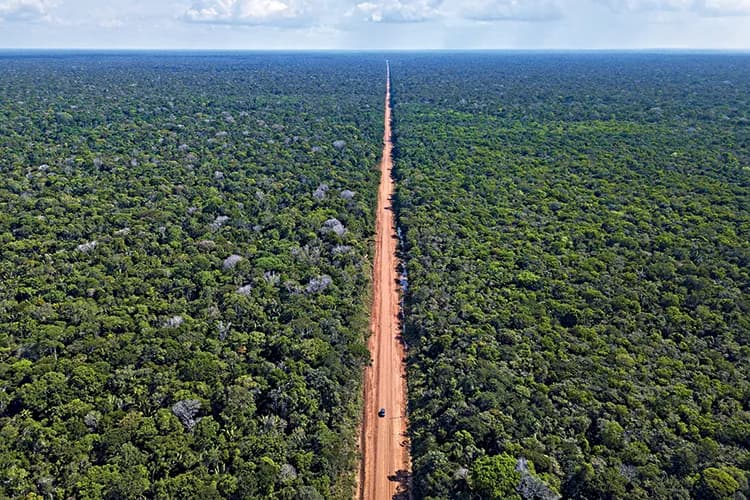 BR-319: Vereadores defendem asfaltamento da rodovia e criticam &#8220;indisposição&#8221; de Marina Silva