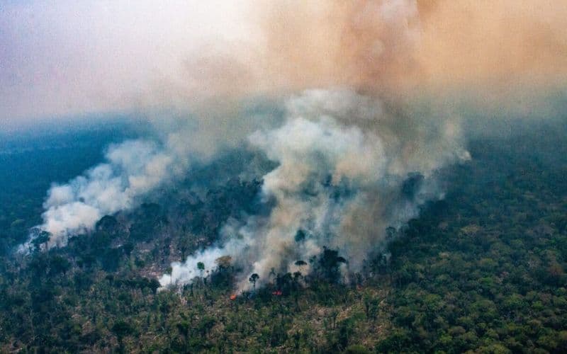 AM está entre os 8 estados com qualidade de ar &#8216;insalubre&#8217;, diz Companhia Ambiental de São Paulo