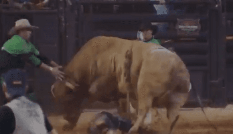 VÍDEO: peão é pisoteado por touro no rodeio de Barretos