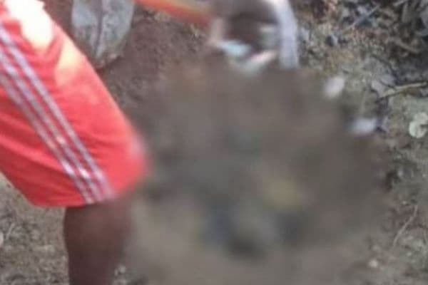 Idoso que estava desaparecido é encontrado em cova rasa em Rio Preto da Eva