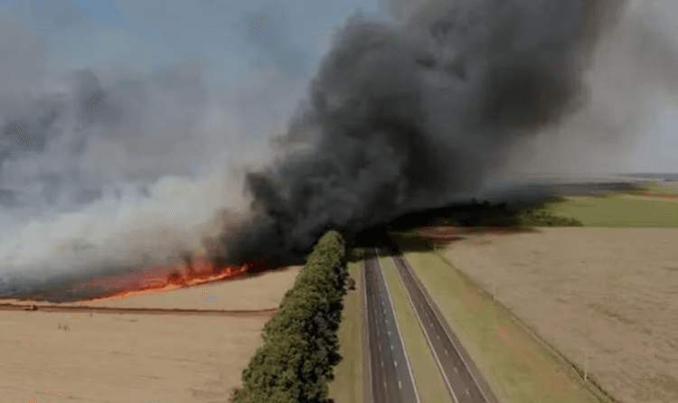 Governador Tarcísio de Freitas confirma duas prisões por incêndios criminosos no interior de São Paulo