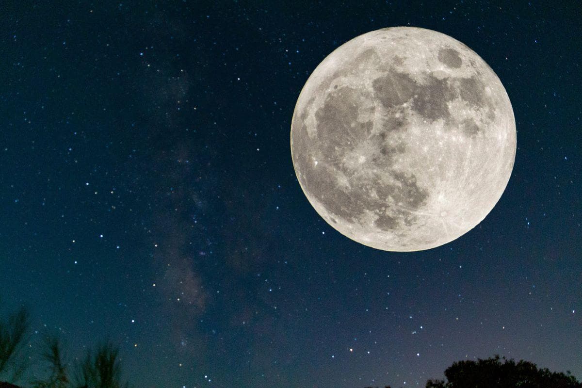 Cientistas planejam enviar &#8220;arca&#8221; para a lua com células de animais