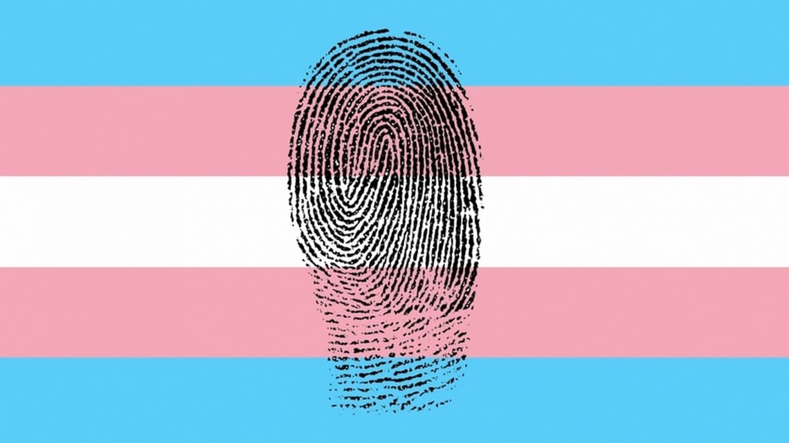 Eleições 2024: Manaus contou com candidatas trans, mas nenhuma foi eleita para a CMM