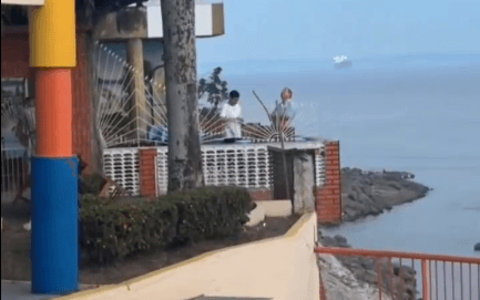 VÍDEO: dono de restaurante solta fogos de artifício em árvore para matar periquitos em Itacoatiara