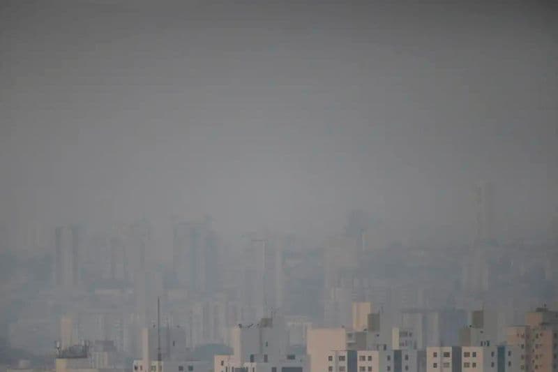 &#8220;Chuva preta&#8221; deve atingir São Paulo e pode prejudicar saúde de pessoas e animais
