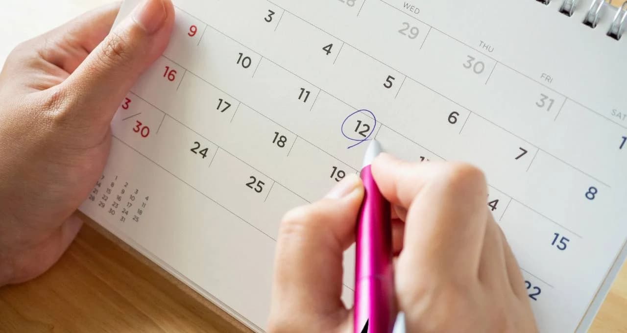 Feriados de 2024: veja datas que ainda restam no calendário deste ano