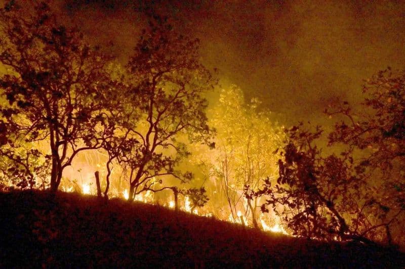 Amazônia em Chamas: cidades do Pará superam mil focos de queimadas