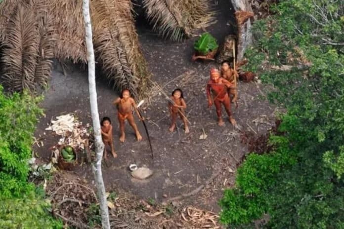 MPF pede interdição de duas áreas com presença de indígenas isolados no Amazonas