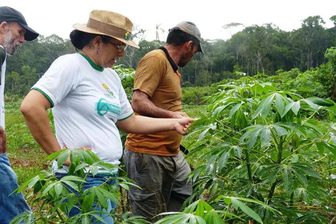 Autora do ‘Dia Municipal do Técnico Agrícola’, vereadora Jacqueline lamenta falta de incentivo aos trabalhadores
