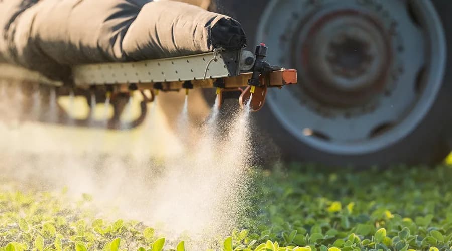 STF discute nesta terça isenção de impostos sobre agrotóxicos