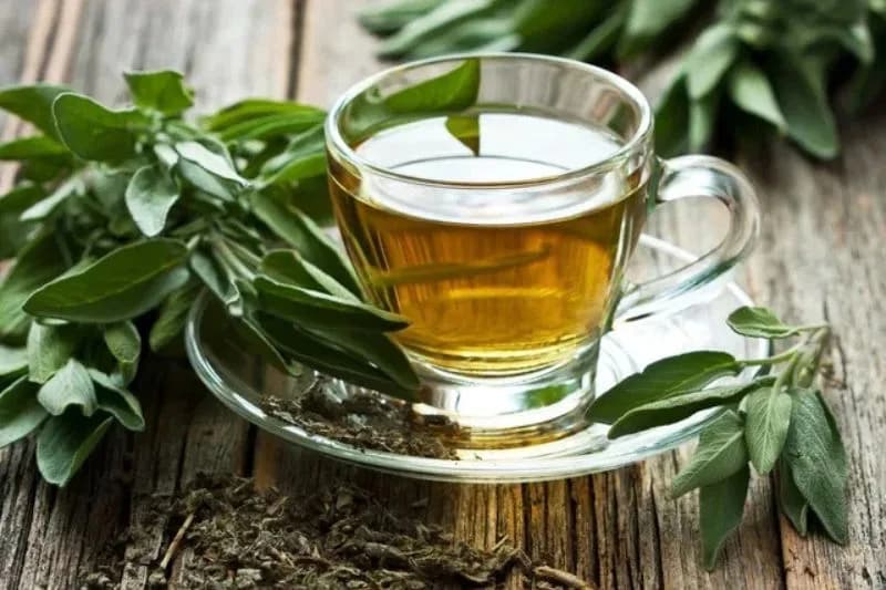 Chá verde: bebida ideal para combater insônia, preservar memória e rejuvenescer pele