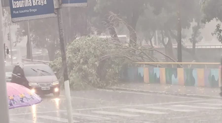 VÍDEOS: Manaus entra em &#8216;perigo potencial&#8217; por causa da chuva; alagamentos e estragos ocorrem pela cidade