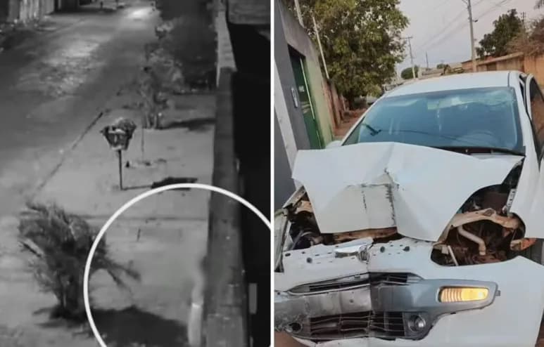Grávida é atropelada pela amante do marido na frente de casa no DF