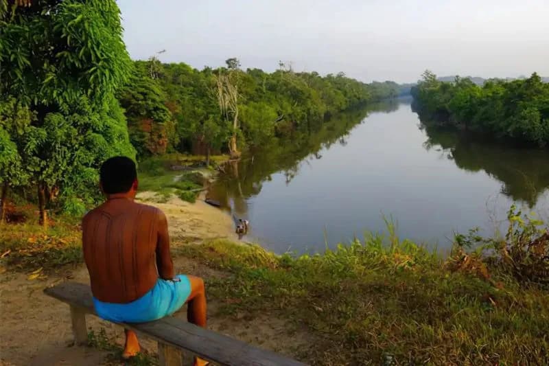 Terras indígenas da Amazônia influenciam chuvas que abastecem 80% do agro, diz estudo