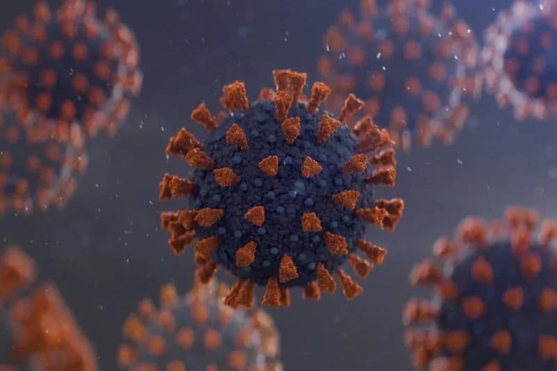 Gene que protege contra a Covid-19 é descoberto em pesquisa no Brasil