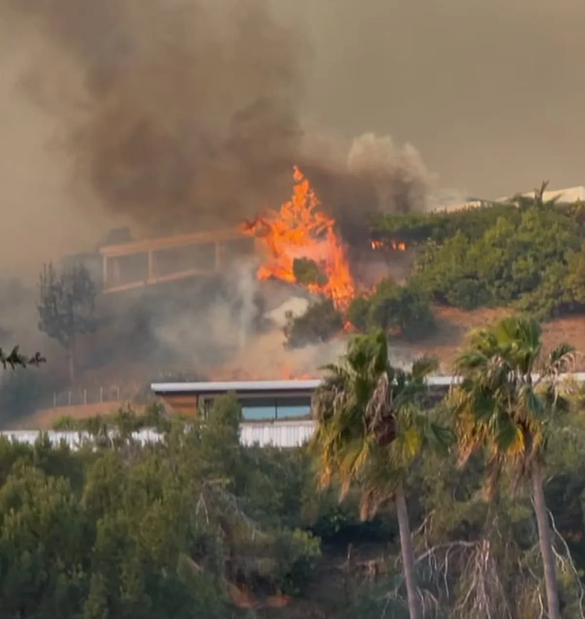 Incêndios em Los Angeles: Biden declara desastre de grandes proporções
