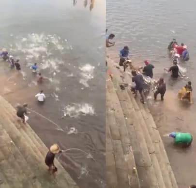 VÍDEO: &#8216;benção de jaraqui&#8217;, em Manacapuru peixes pulam nas redes de pesca após forte chuva