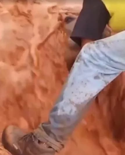 VÍDEO: No DF, égua fica presa em buraco após chuva forte