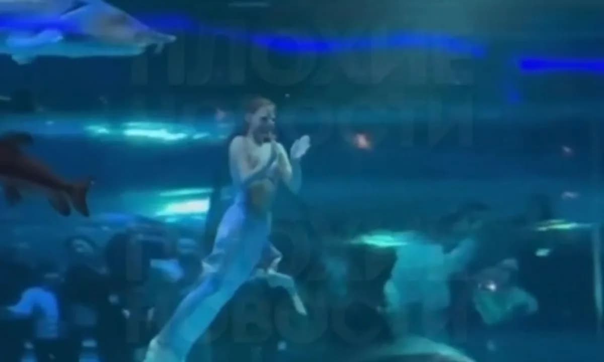 VÍDEO: &#8220;Pequena Sereia&#8221; leva sacode de peixe dentro de aquário na China