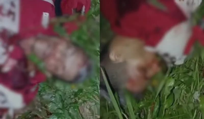 IMAGEM FORTE: &#8216;Neném&#8217; é perseguido e executado com 8 tiros em Manaus