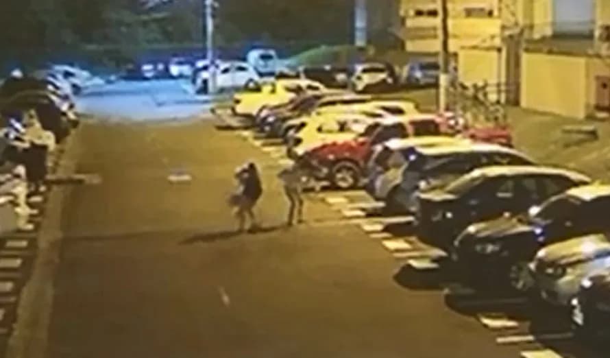 Mulheres são atacadas por pitbull em condomínio na Zona Norte de Manaus
