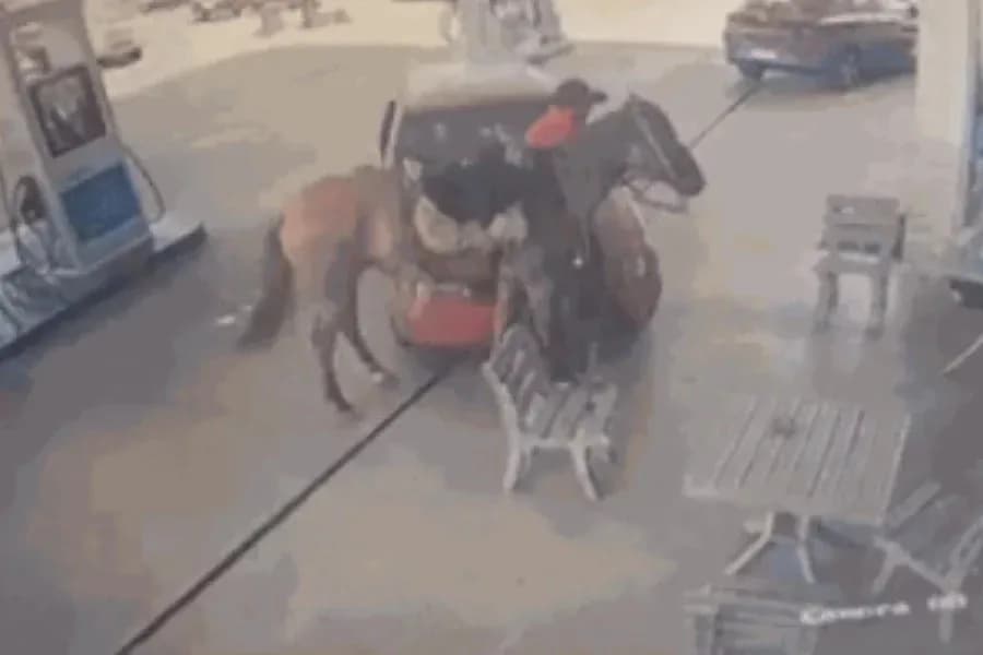 VÍDEO: Homem é preso após atropelar cavalo e atacar desafeto com facão