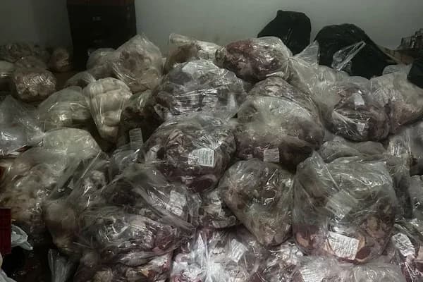 SP: Mais de 10 toneladas de carnes e queijos vencidos são apreendidas em mercado