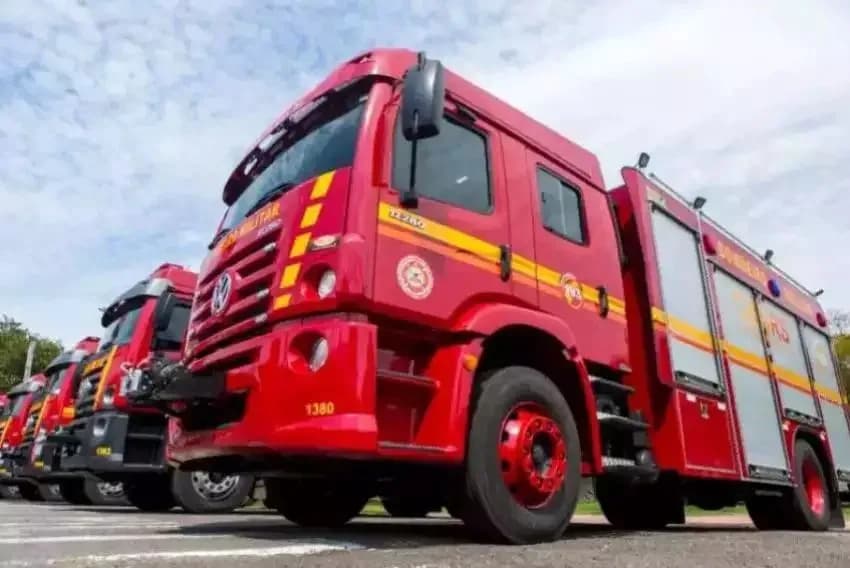 FOTO: Bombeiros “ressuscitam” gato após incêndio em casa em Taubaté