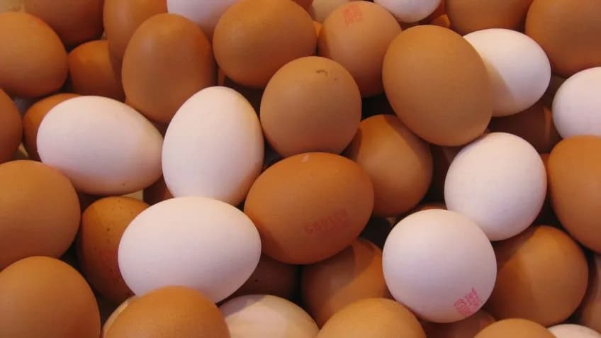 Preço dos ovos deve estabilizar em abril, aponta ABPA