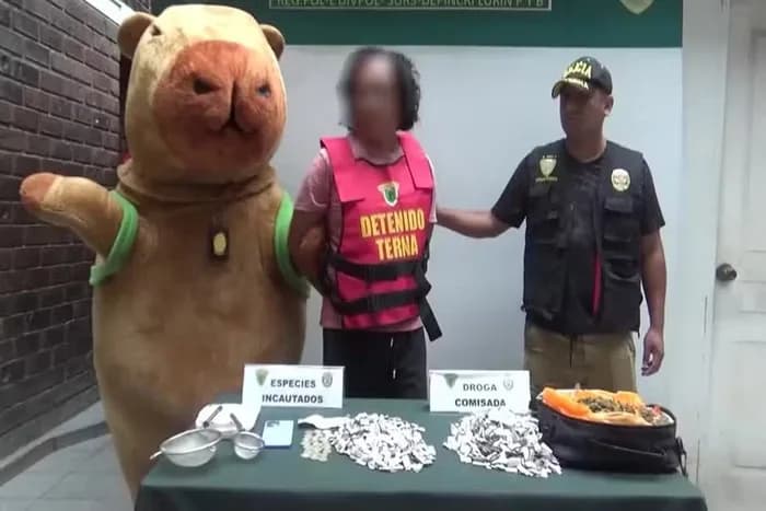VÍDEO: No Peru, policial vestido de capivara prende traficante