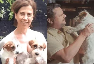 &#8220;Oscar canino&#8221;: Cachorros do filme &#8220;Ainda Estou Aqui&#8221; ganham prêmio internacional