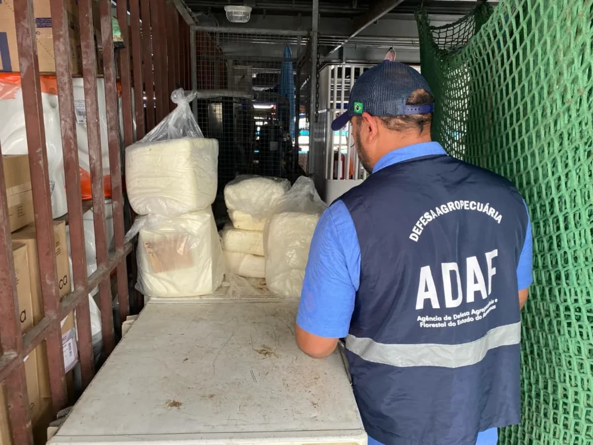 Cerca de 85 kg de queijo coalho são descartados no lixão por risco à saúde em Tefé