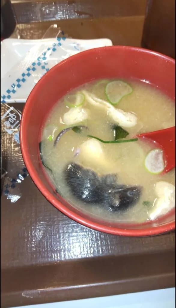 No Japão, rato é encontrado dentro de sopa