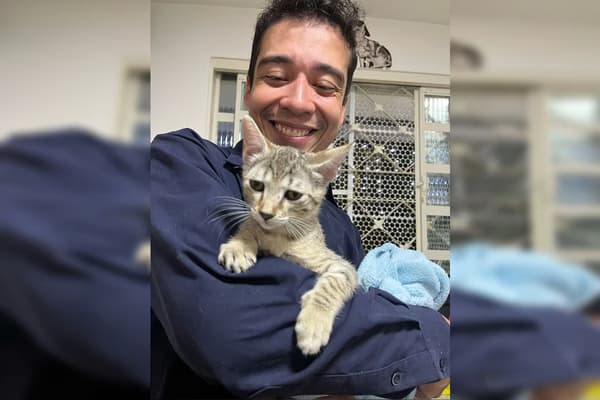 REVOLTANTE: áudios confirmam crueldade de psicólogo com 16 gatos no DF