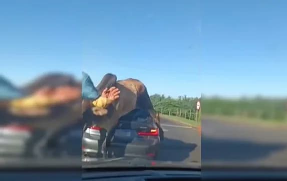 VÍDEO: Touro destrói BMW de R$ 380 mil em SP