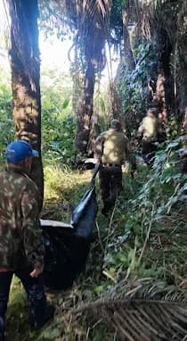  Polícia Ambiental do MS encontra restos mortais de caseiro atacado por onça