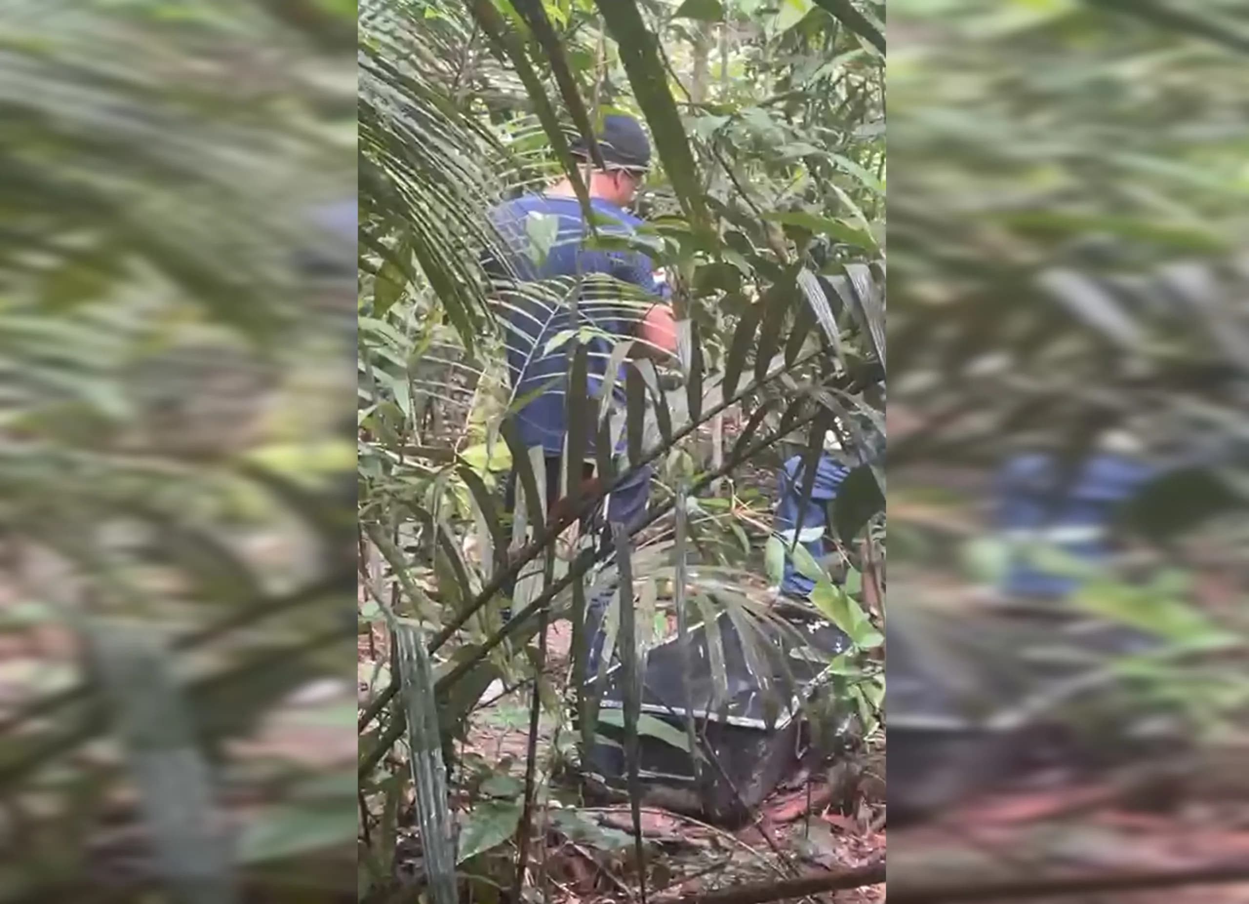Corpo em decomposição é encontrado em área de mata na zona Norte de Manaus