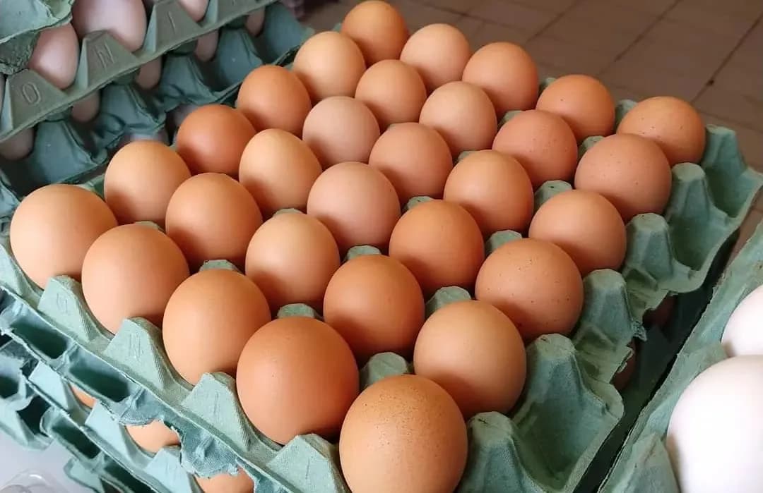 Ovo e café lideram alta no preço dos alimentos, afirma pesquisa