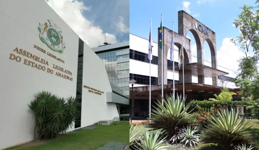 Aleam e CMM tem mais de mil matérias que promovem acessibilidade, respeito e inclusão de pessoas com TEA