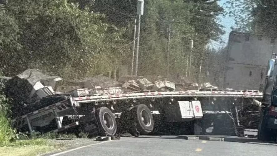 Caminhão tomba e solta 250 milhões de abelhas em estrada, nos EUA