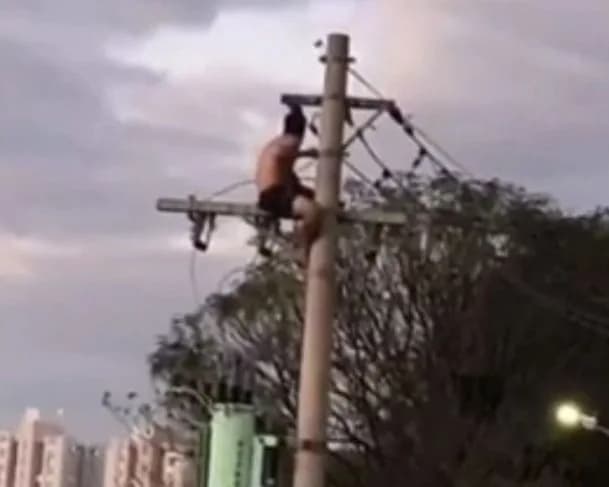 IMAGENS FORTES: engenheiro tem &#8216;surto&#8217; sobe em poste e morre eletrocutado