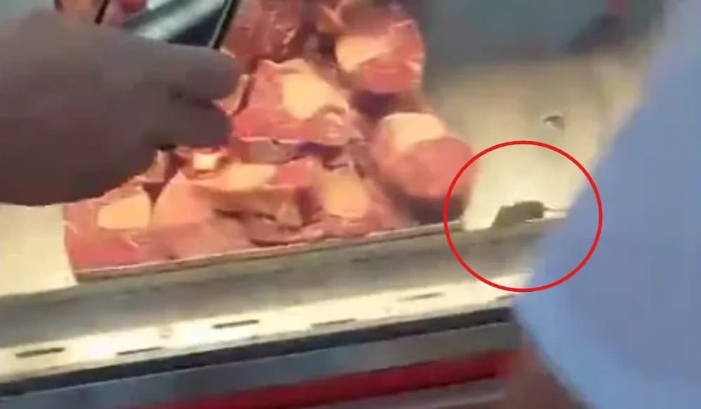 &#8216;Tempero&#8217; indesejado: rato é filmado em meio às carnes em supermercado de Manaus
