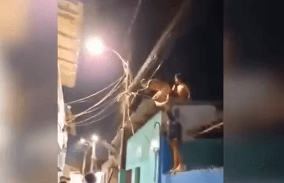 VÍDEO: Homem é agredido após ser flagrado em cima de casa em Macapá