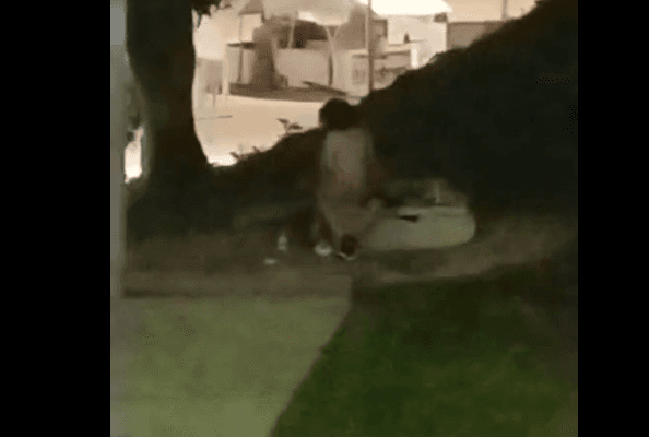 VÍDEO: Jovens são flagrados fazendo sexo na Ponta Negra