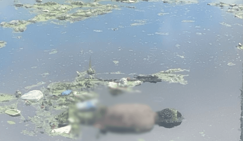 Moradores encontram corpo &#8216;boiando&#8217; em igarapé de Manaus